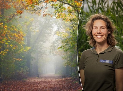 Kaapse Bossen zijn totaal verzuurd, is er nog redding mogelijk? ‘De zomereiken hebben steeds meer do