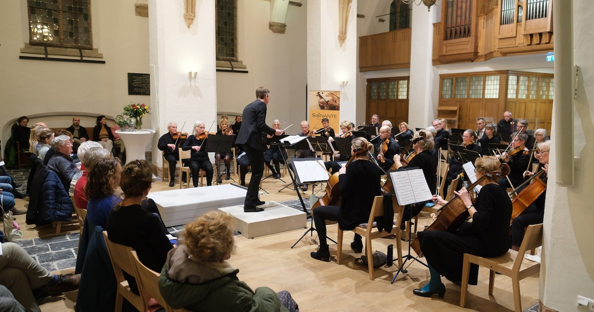 Symfonieorkest Sonante geeft concerten in Ede en Wageningen