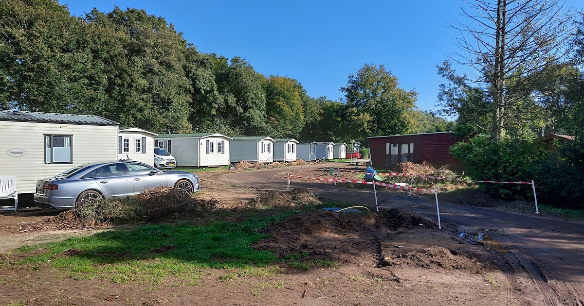 Dorpsvereniging Ledeacker komt in actie: angst voor ‘Peter Gillis-achtige’ toestanden op camping