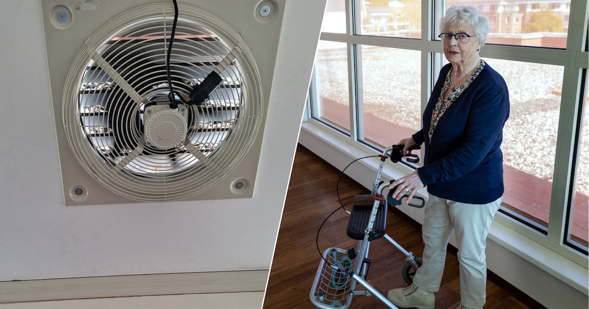 Ricky (87) vlucht voor bloedhitte, nu komt woningcorporatie in actie: ‘Dat werkt voortreffelijk’