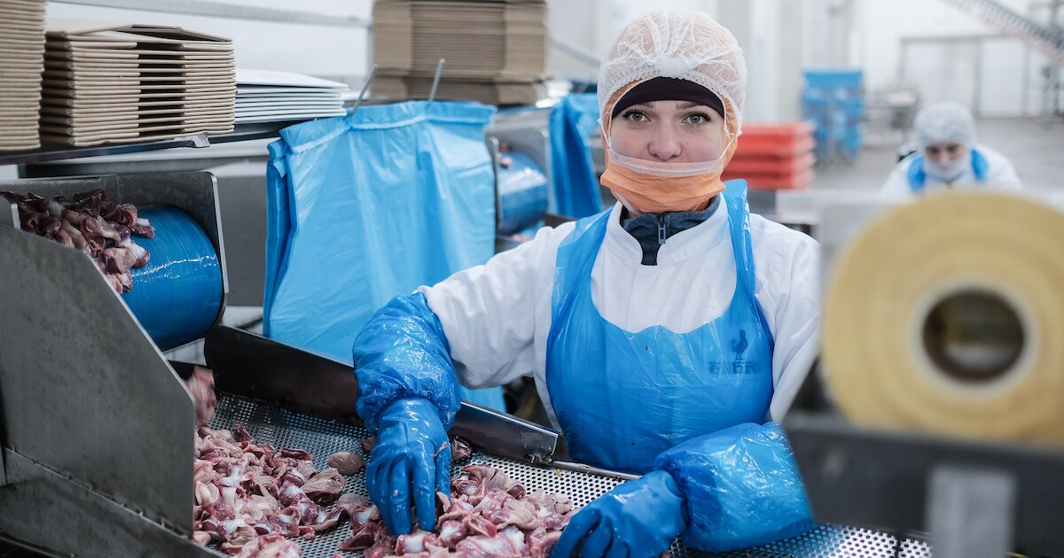 Uitbreidend Esbro verwerkt een kwart miljoen kippen per dag en bouwt huis voor buitenlandse werkneme