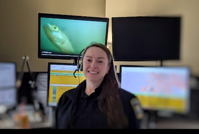 Meeste kijkers visdeurbel Utrecht uit Verenigde Staten, website op eerste dag 600.000 keer bekeken