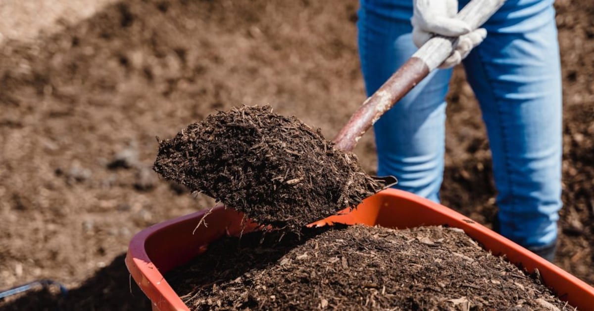 Gratis compost voor inwoners Velp en Dieren | Regio | De Gelderlander.nl