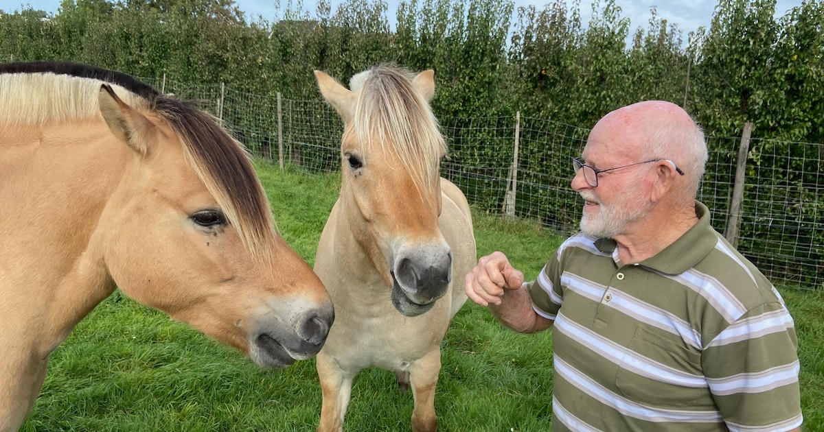 Fjordenpaard Geesje bezorgt trotse Aart (83) uit Wijk bij Duurstede Nederlands kampioenschap