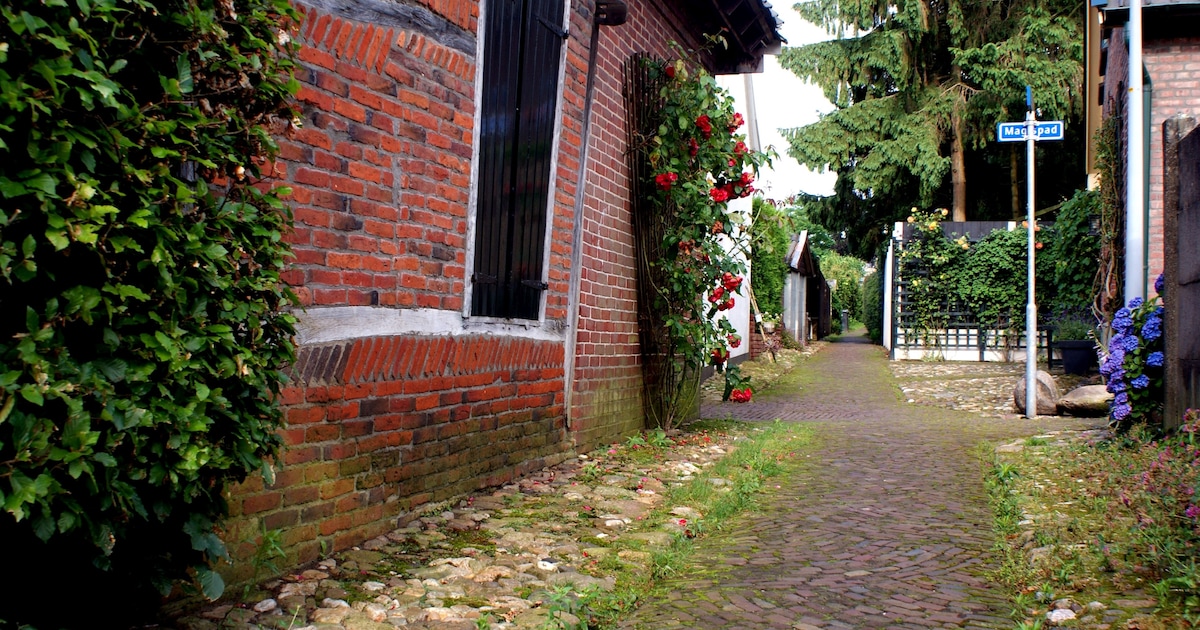 Historische wandelingen onthullen geschiedenis van Aaltense Gängeskes