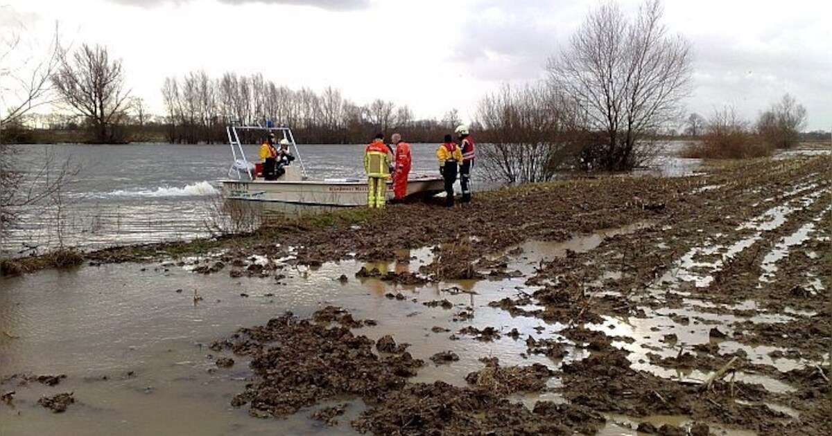 Drie pony's van eilandje in Maas bij Niftrik gered