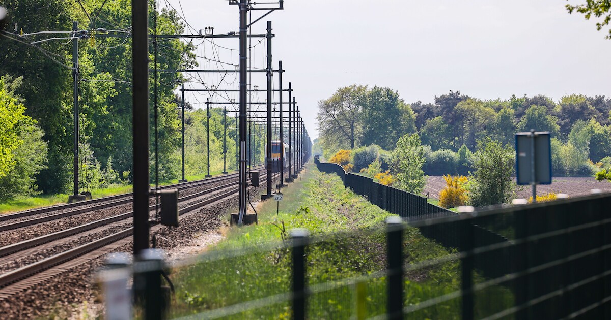 Stilgevallen trein veroorzaakt korte hinder op het spoor tussen Den Bosch en Oss