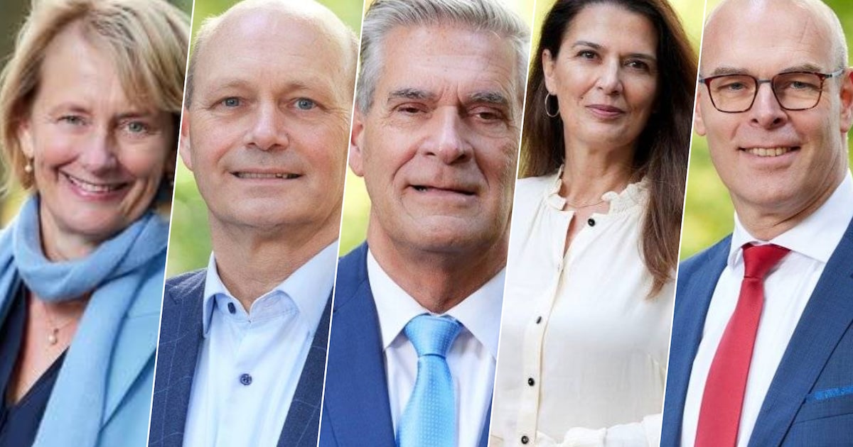 ‘Inwoners Heuvelrug zijn niet tegen bouwen: ze zijn tegen onbehoorlijk bestuur’