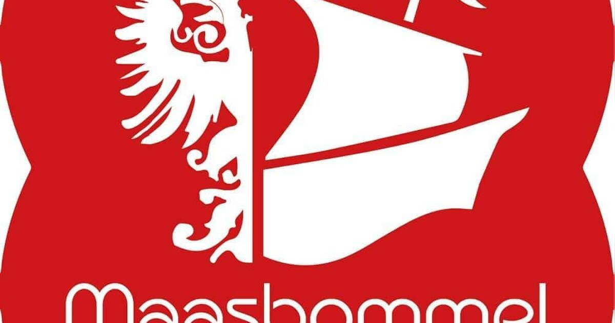 Maasbommelse kunstenaar maakt 'Hanzelogo'