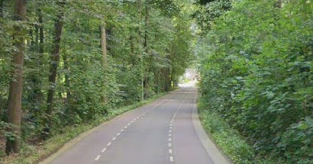 Duo hangt celstraf boven het hoofd na aanvallen van agenten bij Lochem