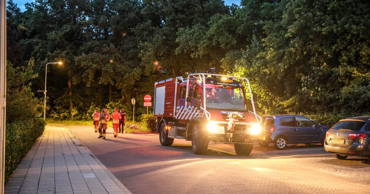 Bezorgde beller meldt bosbrand in Amersfoort, maar er blijkt wat anders ...