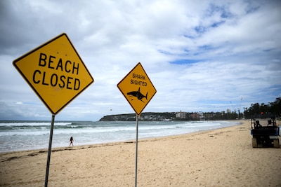 Ondanks heldhaftige reddingsactie wordt Nico (12) na haaienbeet niet meer wakker