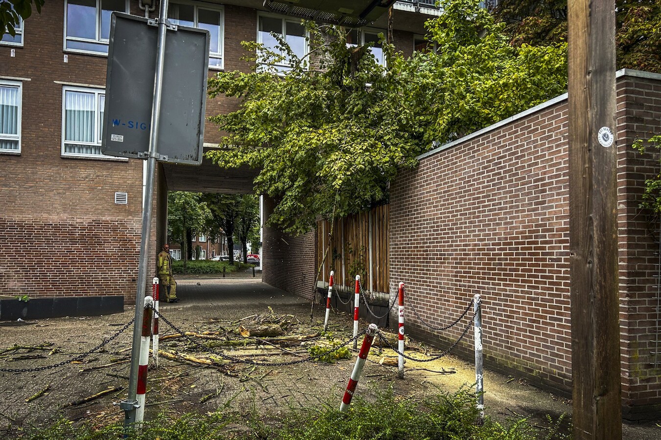 Auto’s weggehaald voordat boom uit Eindhovense achtertuin kon vallen ...