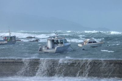 Metershoge golven teisteren kust bij hoofdstad Nieuw-Zeeland