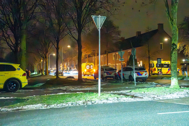 Twee honden dood na ongeval, baasje (55) loopt geëmotioneerd naar huis en  komt daar om het leven | Brabant | De Gelderlander.nl