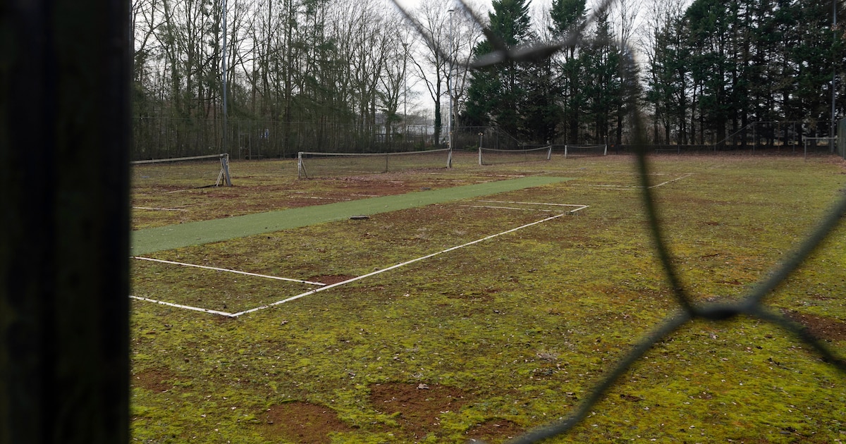 Deze vervallen tennisbanen moeten een nieuw leven krijgen: ‘Doodzonde dat het zo stil ligt’