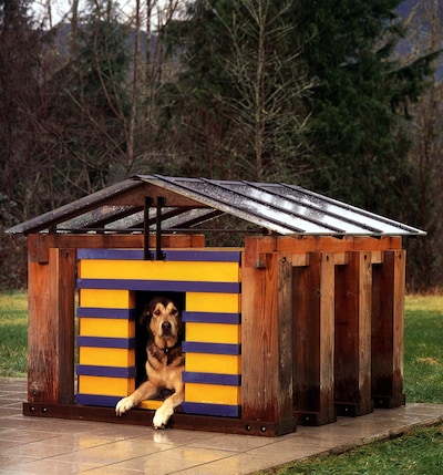 Belg werd maandenlang opgesloten in hondenhok, vrouw veroordeeld tot 7 jaar cel