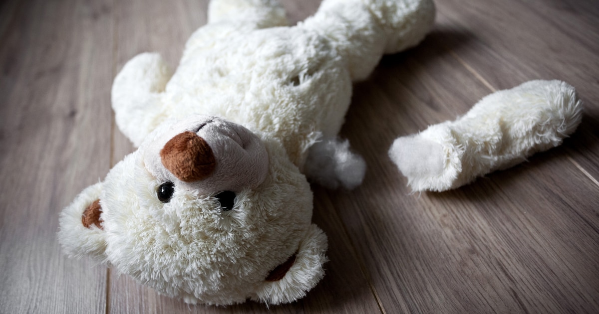 Aantal meldingen bij Veilig Thuis in Doesburg gestegen