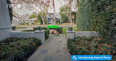 Hond gered, maar privacy in het geding? Rel rond Ring-camera’s in VS: ‘Dystopisch’