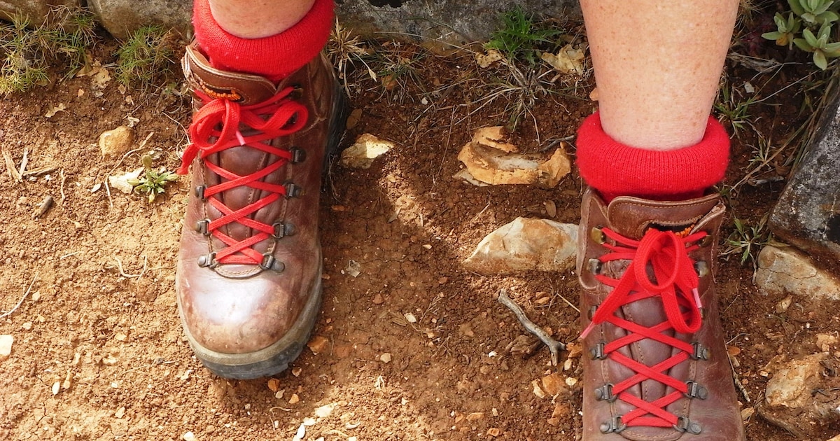 Natuurexcursie in de bossen bij Dekkerswald