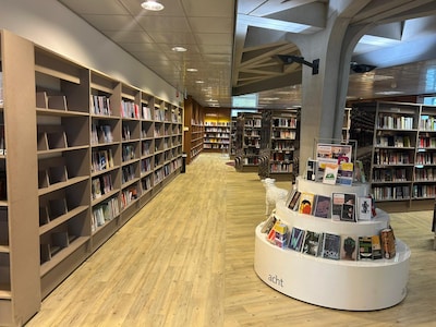 Nieuwe manga collectie in Bibliotheek Veenendaal met workshop Japanse kunstenaar