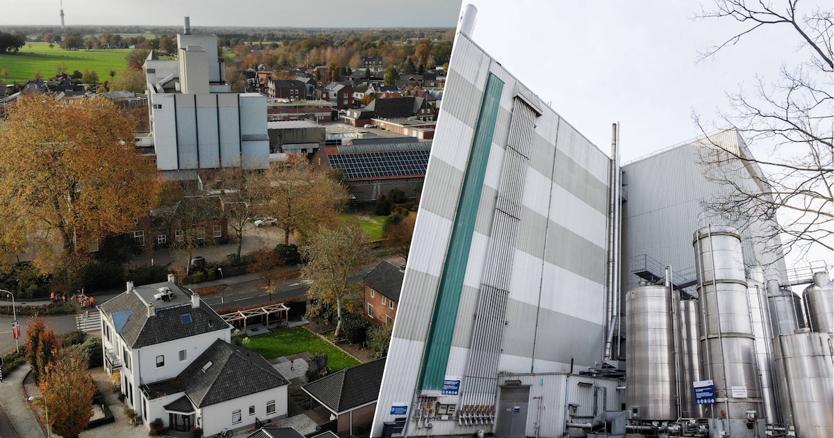 Helft van overlastklachten in Hof komt door diervoerproducenten