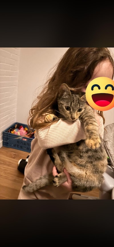 Heb jij Diva of Mia gezien? Deze twee huisdieren worden in Wageningen vermist
