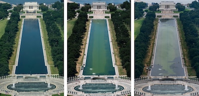 Weer algengroei en coating laat los: miljoenen dollars kostende renovatie van Lincoln Memorial zorgt voor ophef in VS
