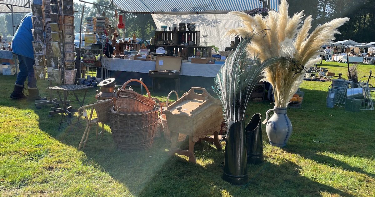 Twaalfde Vroolijke Brocante Markt in Brummen