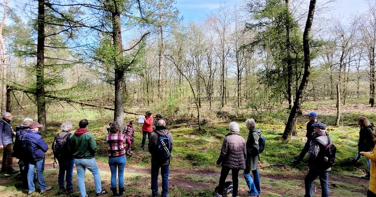 IVN Barneveld houdt landgoedwandeling naar Oud Groevenbeek in Ermelo