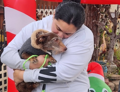 Vier jaar spoorloos en dan kerstwonder: Amerikaanse hond Choco reist dankzij hulp van vreemden terug naar huis