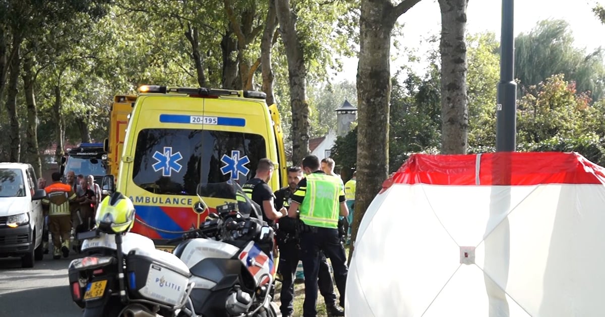 ‘Wat ik toen zag, vergeet ik nooit meer’: vrachtwagenchauffeur Pierre over het dodelijke ongeluk in Sprang-Capelle.