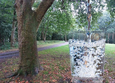 Drinkwater in regio Utrecht is in gevaar: met grote spoed 113 bomen gekapt