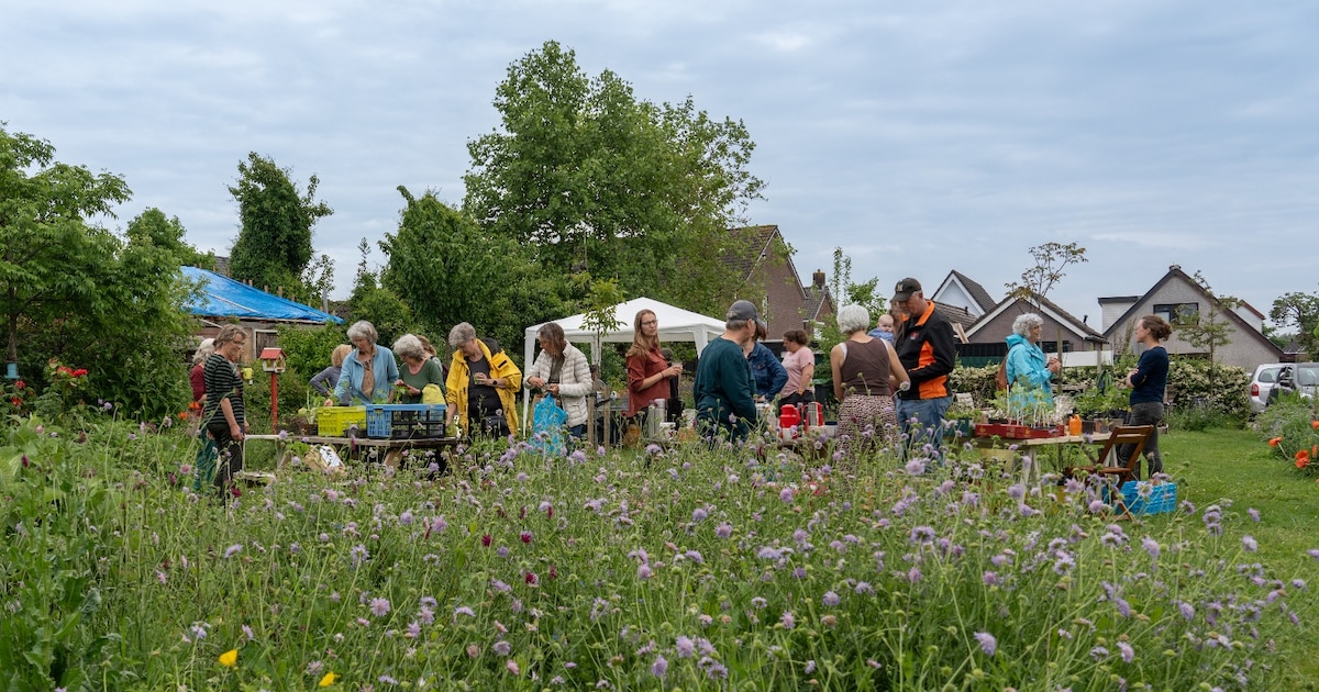 Snoeicursus in de Dorpstuin van Rheden