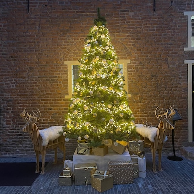 Variakoor geeft kerstconcert in Wijchen