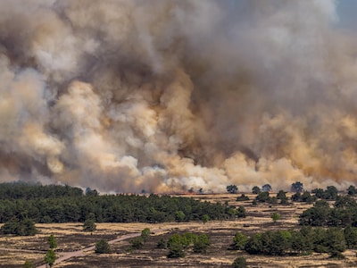Brandweer slaat alarm na natuurbrand op de Veluwe: risico op onbeheersbare branden groeit