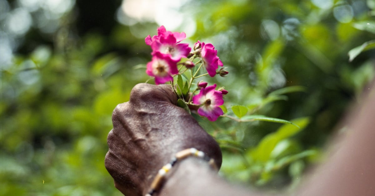 Arthouse LUX blikt met jonge kunstenaars vooruit op kunst van de toekomst