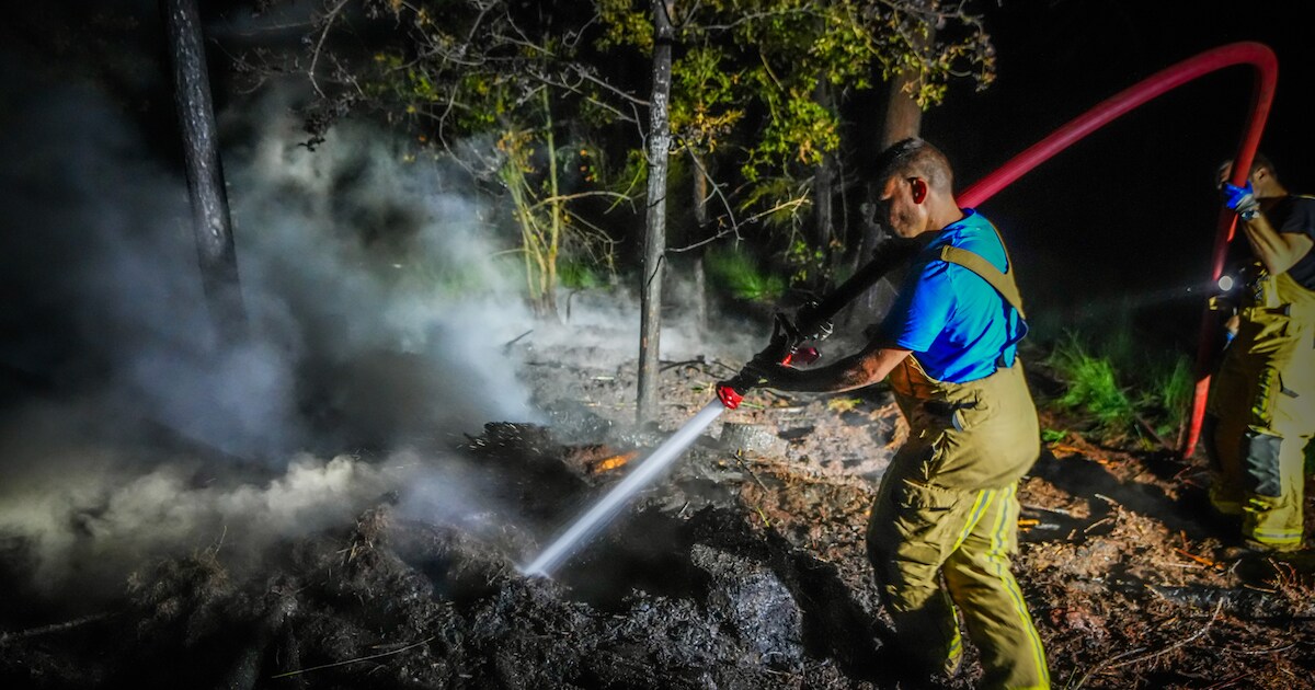 Natuurbrand bij Bladel: brandweer krijgt met extra bluswater vlammen onder controle bij bosgebied De