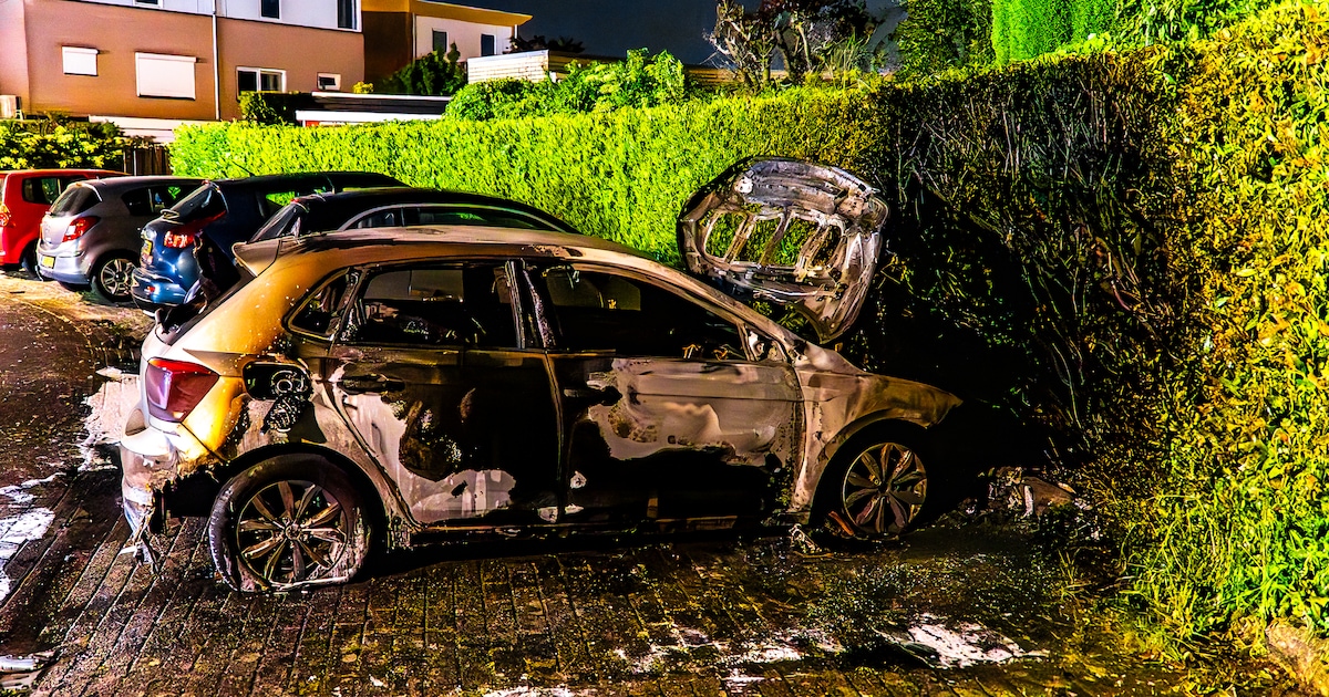 Auto uitgebrand achter flatgebouw in Elst