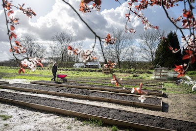 Van ‘Vrouw zoekt boer’ naar bloemenwalhalla: Renske bouwt in de modder aan haar droomtuin