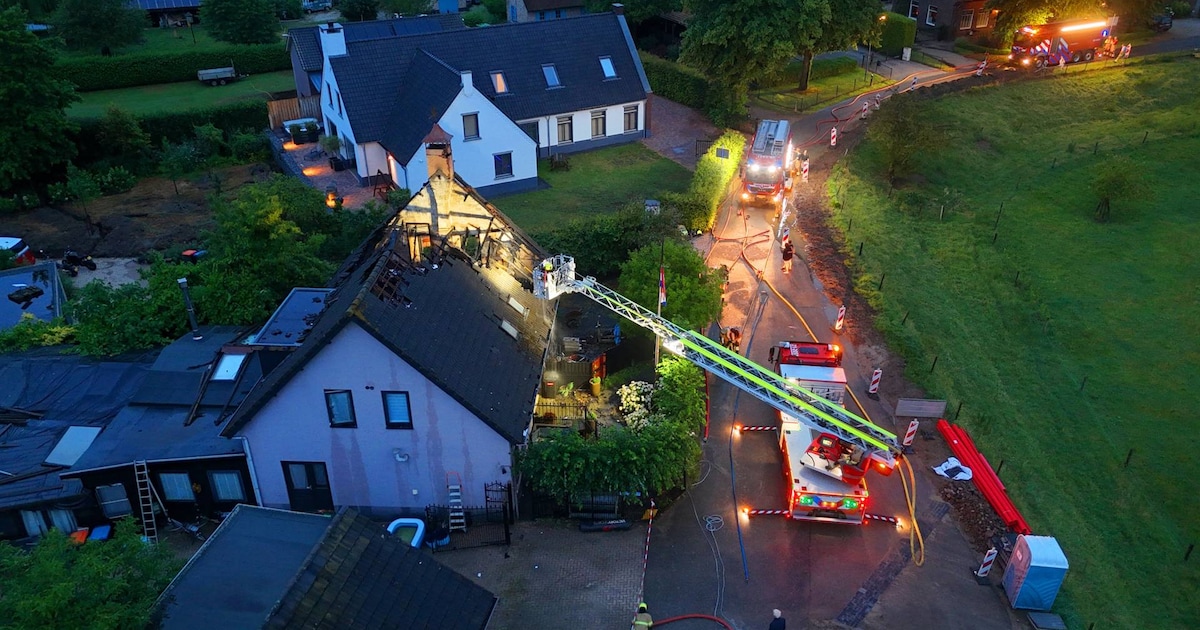 Schade van noodweer in Den Bosch en omgeving valt mee: vooral afgewaaide takken