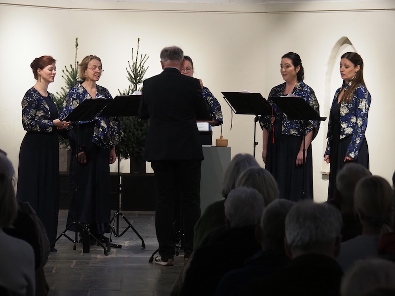 Kijtip! Nieuw seizoen Kamp van Koningsbrugge en deze stadsgenoten doen ...