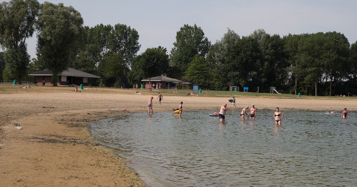 Blauwalgen in Slingeplas Bredevoort