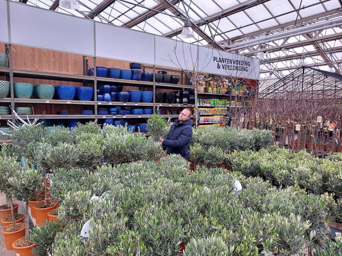 Tuinliefhebbers opgelet: Intratuin Duiven verrast met grote Disney ...