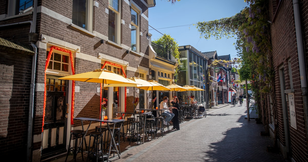 Dit terras in Apeldoorn mag tóch blijven staan: burgemeester negeert advies juristen
