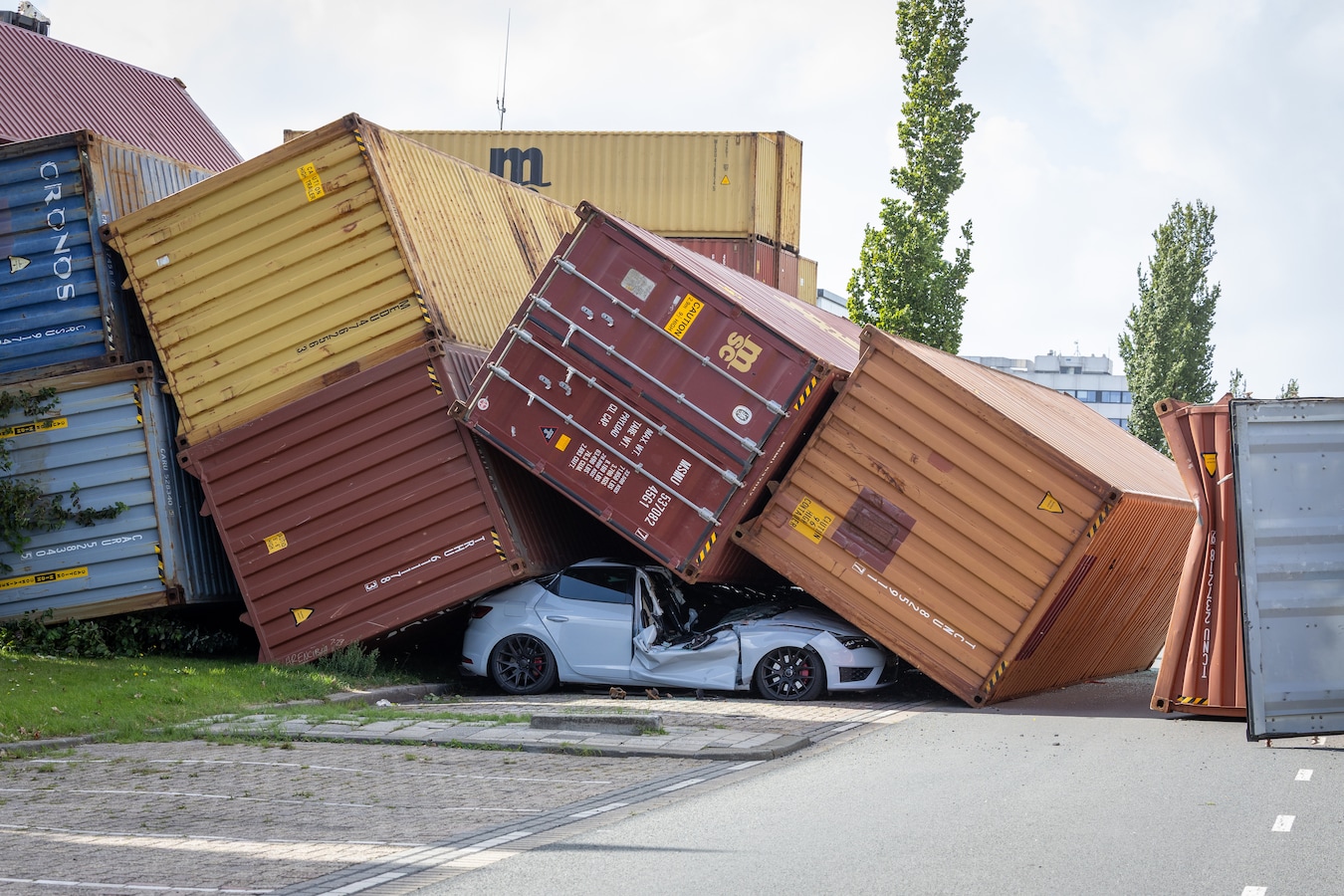 Bomen waaien om, auto geplet en flitspaal omver: wind houdt flink huis ...