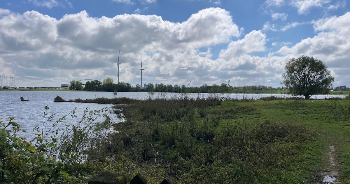 Met natuurgidsen naar de Weurtse uiterwaarden