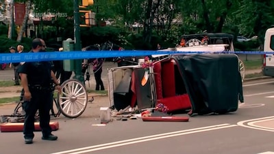 Toerist die omkwam toen hij moeder wilde redden bij ongeluk met paardenkoets in New York krijgt wet naar hem vernoemd