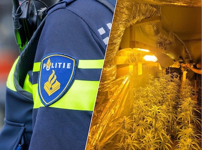 17 aanhoudingen na maandenlang drugsonderzoek in de Liemers, Velp en Arnhem