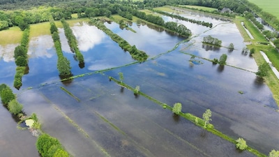Natuurgebied loopt onder water door storing, nesten vol eieren broedvogels spoelen weg